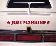 vegas elvis wedding.